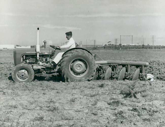 Disc plouhging in 1960